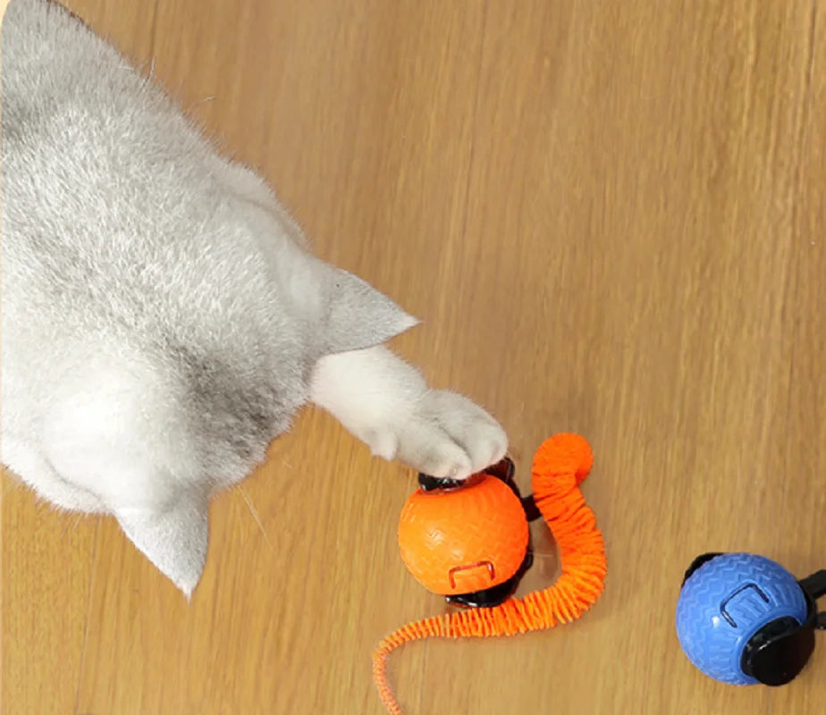 Interactive Rolling Cat Ball Toy