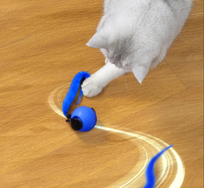 Interactive Rolling Cat Ball Toy